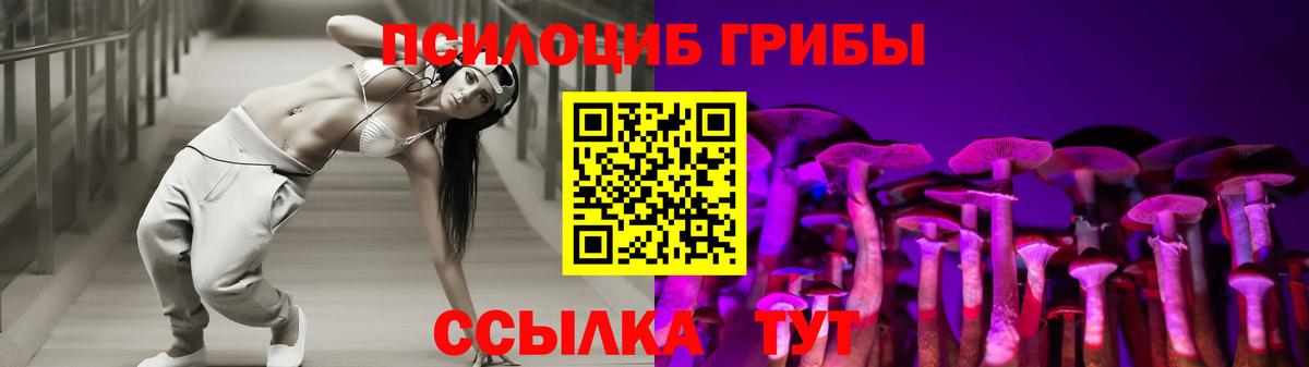 Псилоцибиновые грибы прущие грибы Холмск